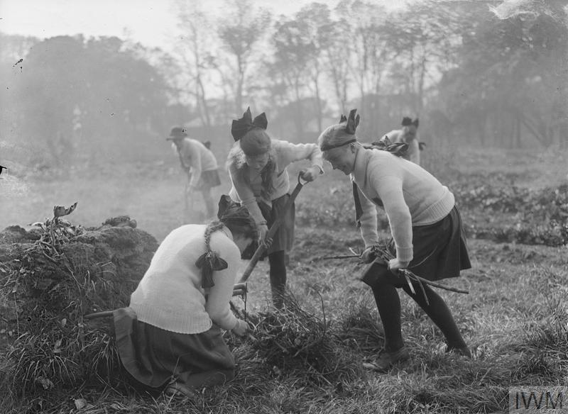 UK school children at work on an allotment allocated for wartime vegetable production on school playing fields. Horace Nicholls (1918). Imperial War Museum Q30855.
