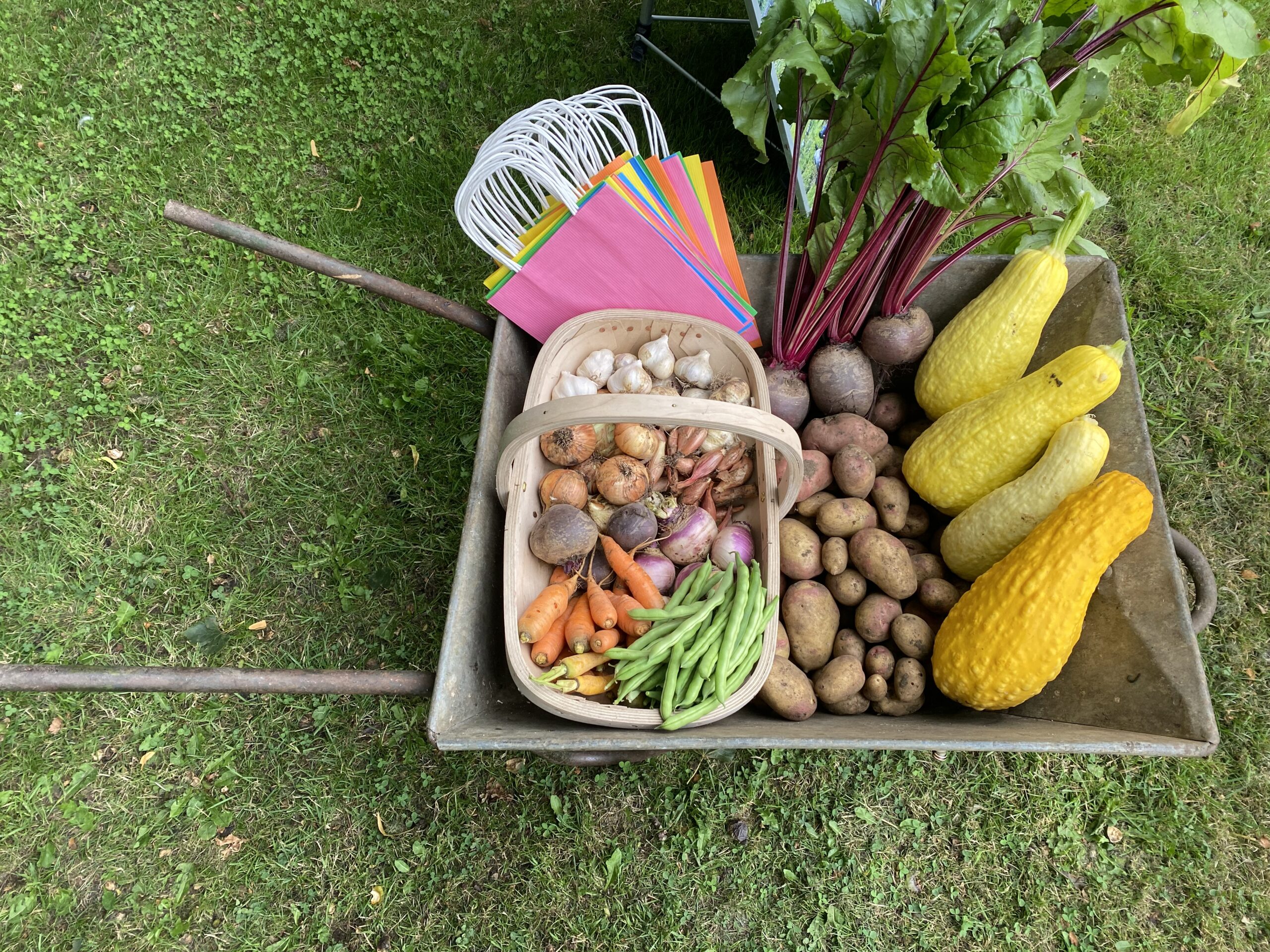Produce from the 1918 Allotment we shared with the audience at reading events in 2021
