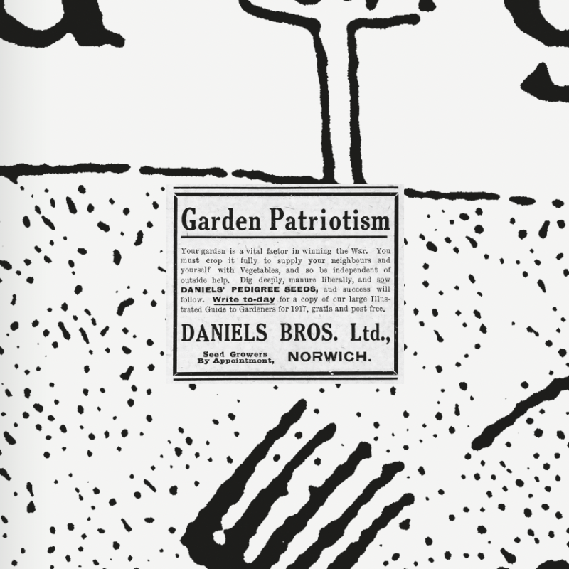 Montage used in forthcoming publication Portal: 1918 Allotment